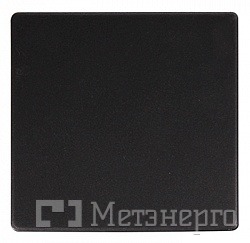 ins0020012 Клавіша e.lux.11011L.pn.anthracite.shrink одинарна "антрацит" (запаяна в п/е) - Метенерго ins0020012 Клавіша e.lux.11011L.pn.anthracite.shrink одинарна "антрацит" (запаяна в п/е) - Метенерго