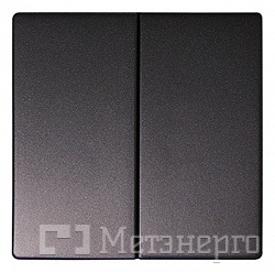 ins0030020 Клавиша e.lux.11021L.pn.anthracite.hang двойная "антрацит" (в промоупаковке) - Метэнерго ins0030020 Клавиша e.lux.11021L.pn.anthracite.hang двойная "антрацит" (в промоупаковке) - Метэнерго